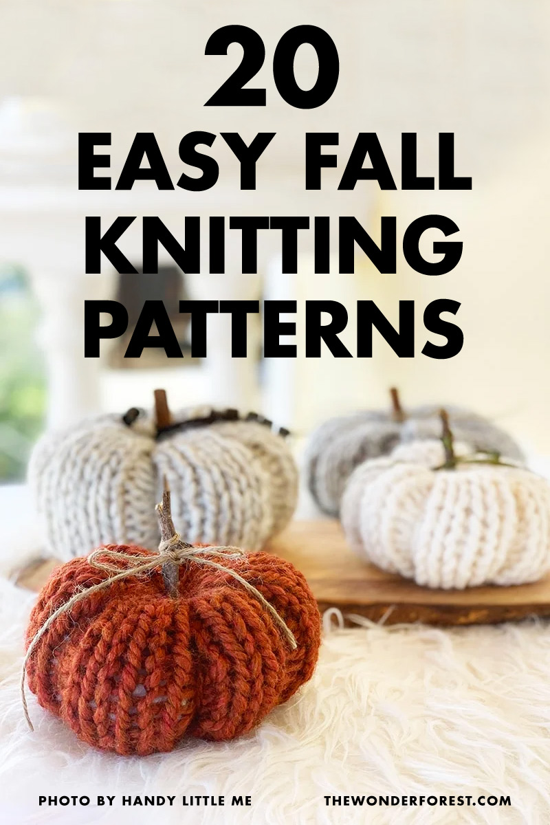 20 Easy Fall Knitting Patterns - Wonder Forest